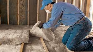 Best Wall Insulation Installation in Williston Highlands, FL